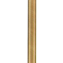 ACCESSORY STEM