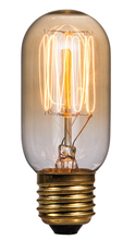 EARLY ELECTRIC BULB