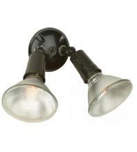 Outdoor Directional Lights