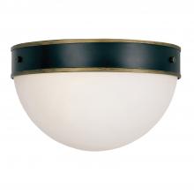 Outdoor Flush Mounts