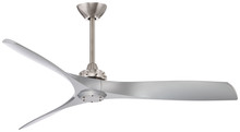 Ceiling Fans