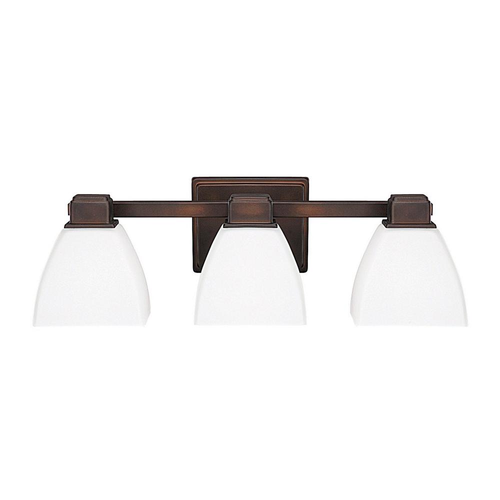 3 Light Vanity Fixture