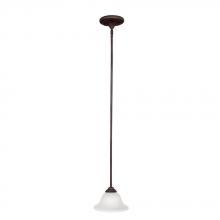 Capital 3070BB-224 - 1 Light Pendant