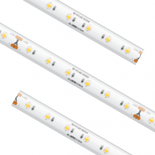 HIGH OUTPUT COB